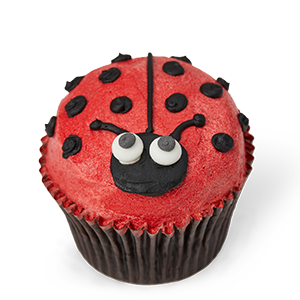 Ladybird Face Regular chocolate