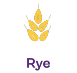 Rye